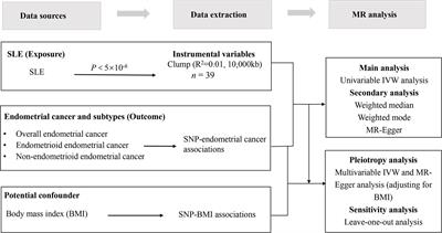 Causal effects of systemic lupus erythematosus on endometrial cancer: A univariable and multivariable Mendelian randomization study